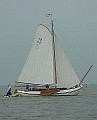 VA79